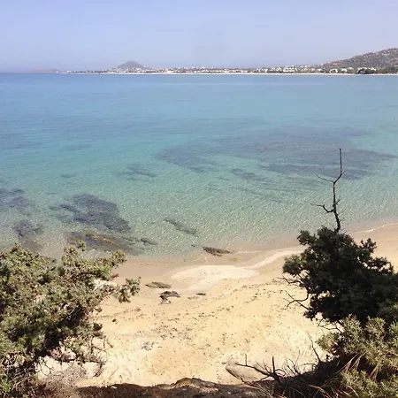 Naxos Beachvilla Βίλα *