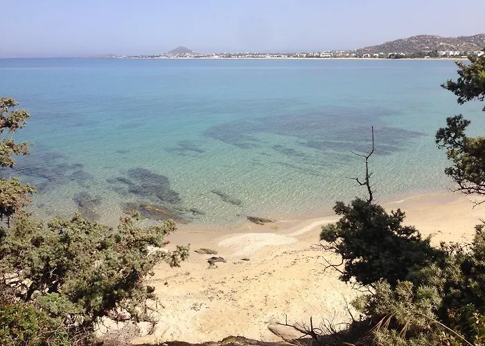 Naxos Beachvilla וילה *