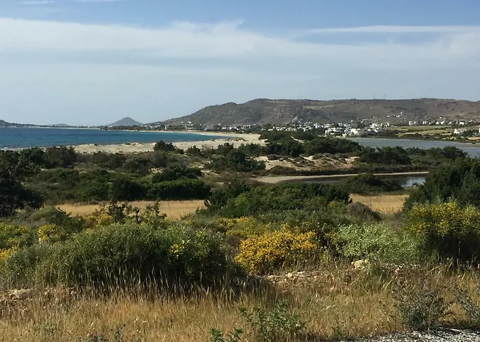 וילה Naxos Beachvilla *